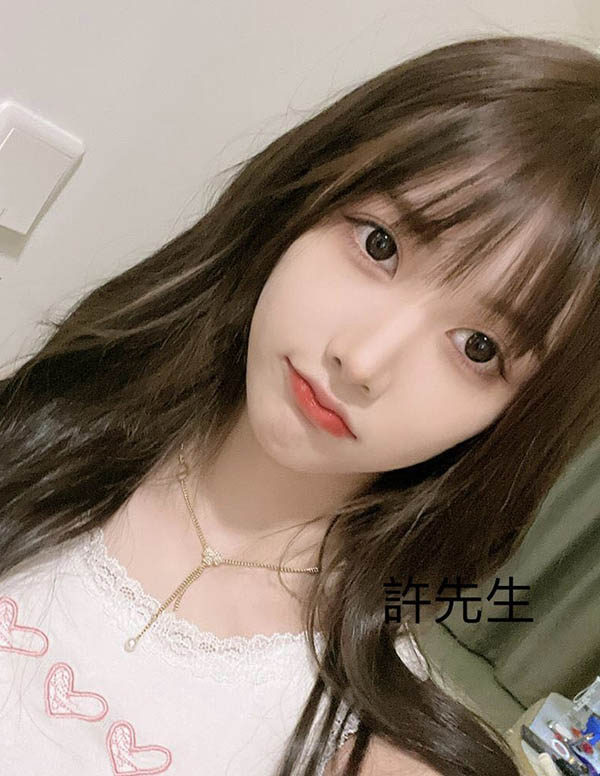 波士顿大学生伴游