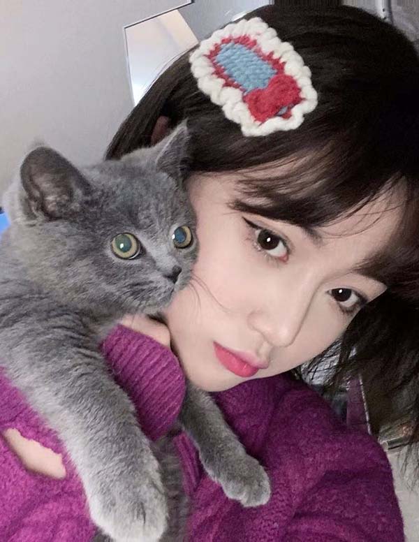 芝加哥伴游模特价格